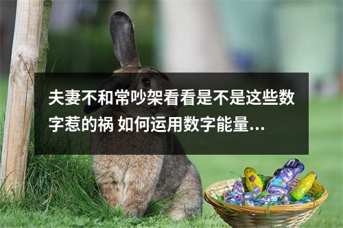 夫妻不和常吵架看看是不是这些数字惹的祸 如何运用数字能量手机号码来提升销售能力