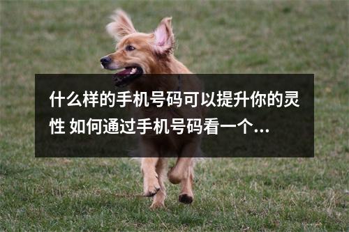什么样的手机号码可以提升你的灵性 如何通过手机号码看一个人的财运
